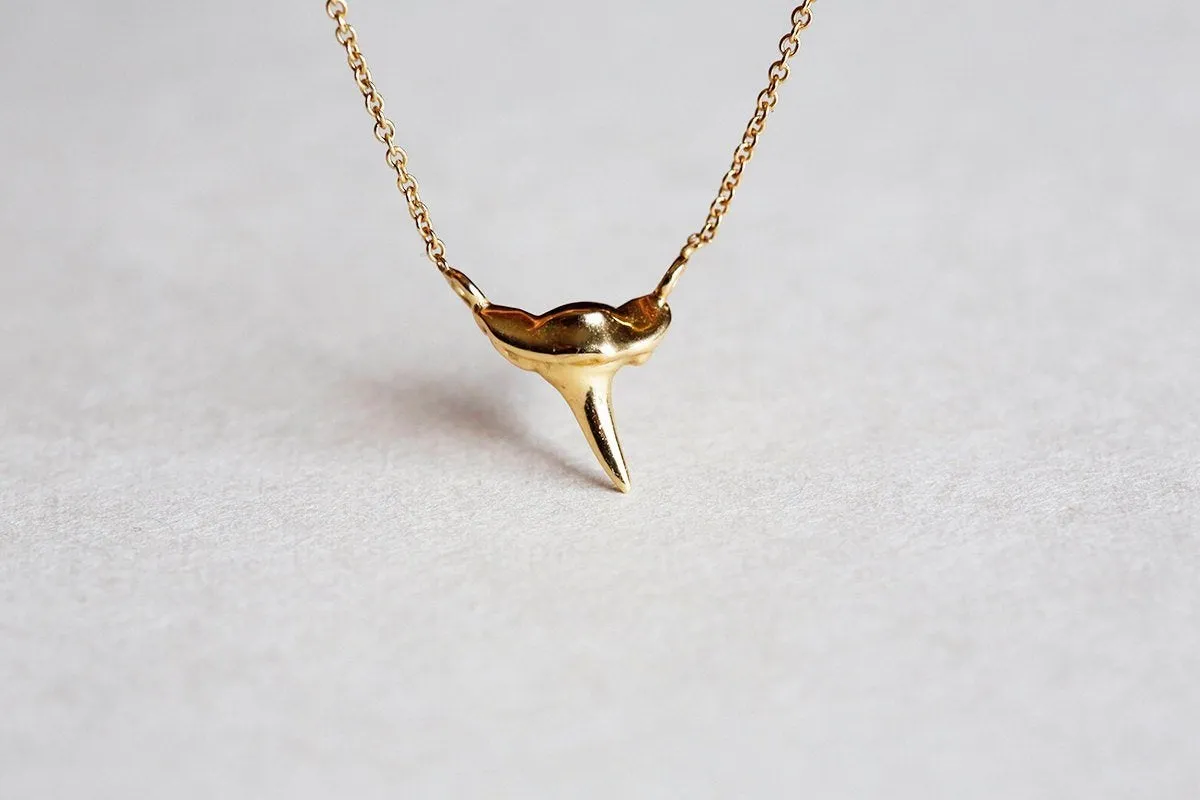 Dainty Gold Shark Tooth Necklace