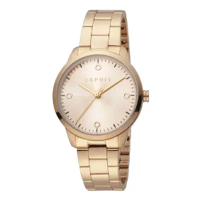 Esprit Stainless Steel Analog Women's Watch ES1L164M0065