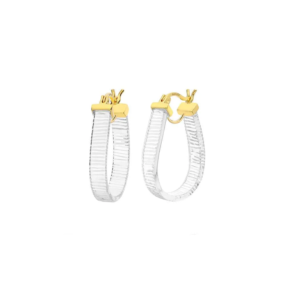 Mini Horseshoe Lucite Hoop Earrings