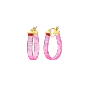 Mini Horseshoe Lucite Hoop Earrings