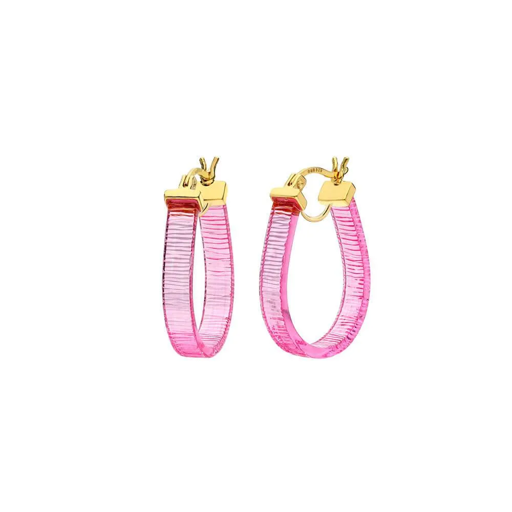 Mini Horseshoe Lucite Hoop Earrings