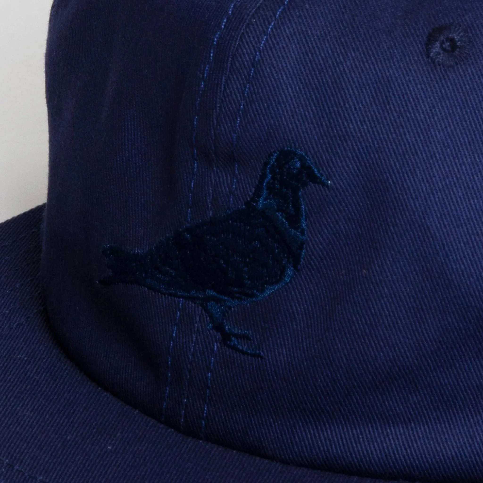 Tonal Pigeon Twill Cap